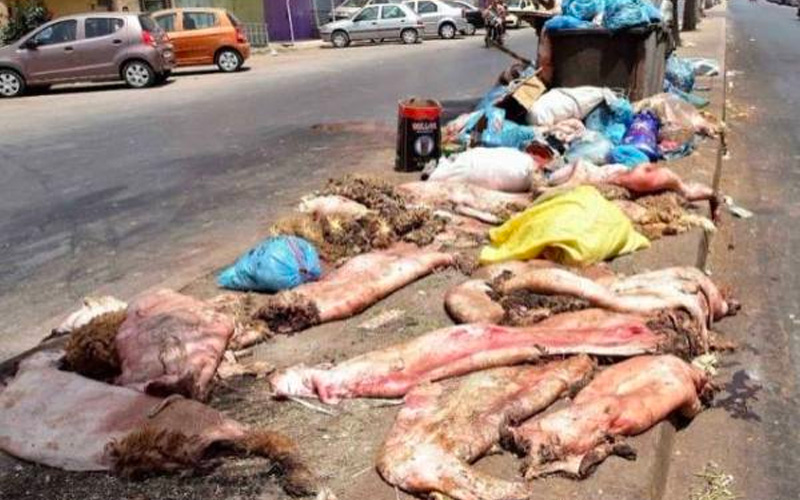 الدار البيضاء : تدابير لجمع 32 ألف طن من النفايات في عيد الأضحى