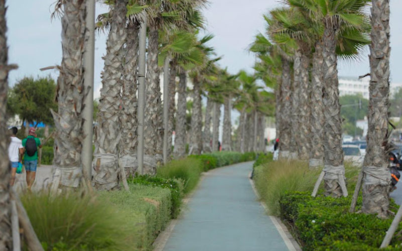 Environnement : Casablanca utilisera ses eaux usées pour irriguer des espaces verts