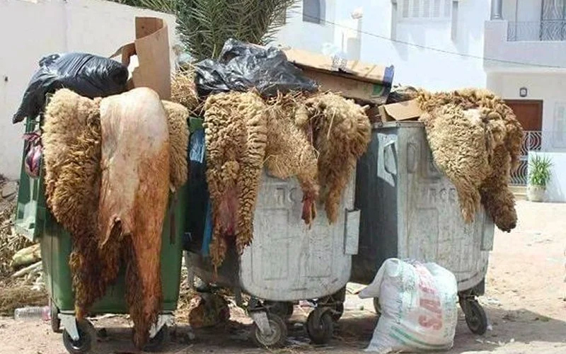 Aïd Al Adha: Casa Baia se mobilise pour la collecte des déchets