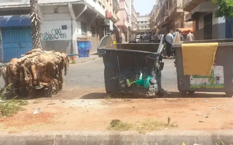 بالفيديو: عمال النظافة يناشدون البيضاويين مساعدتهم في جمع أزبال العيد